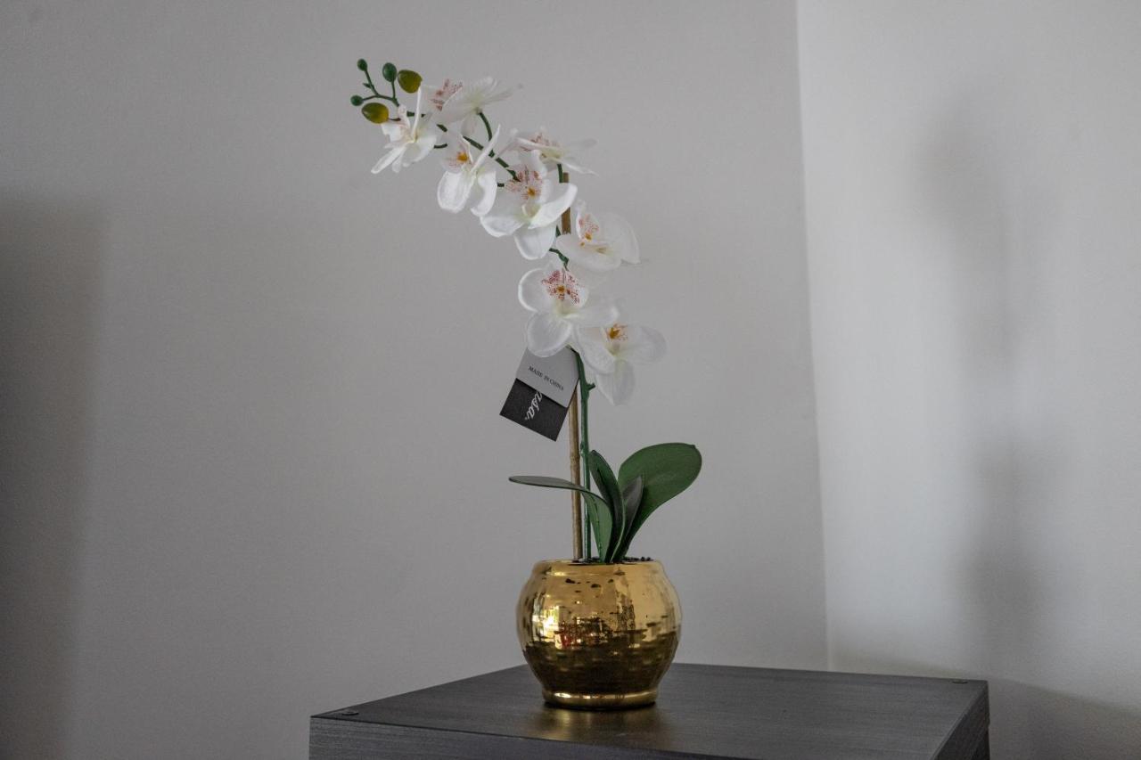 London - 4 Bed - Sleeps 8 - Garden - Pet Friendly Villa Екстериор снимка